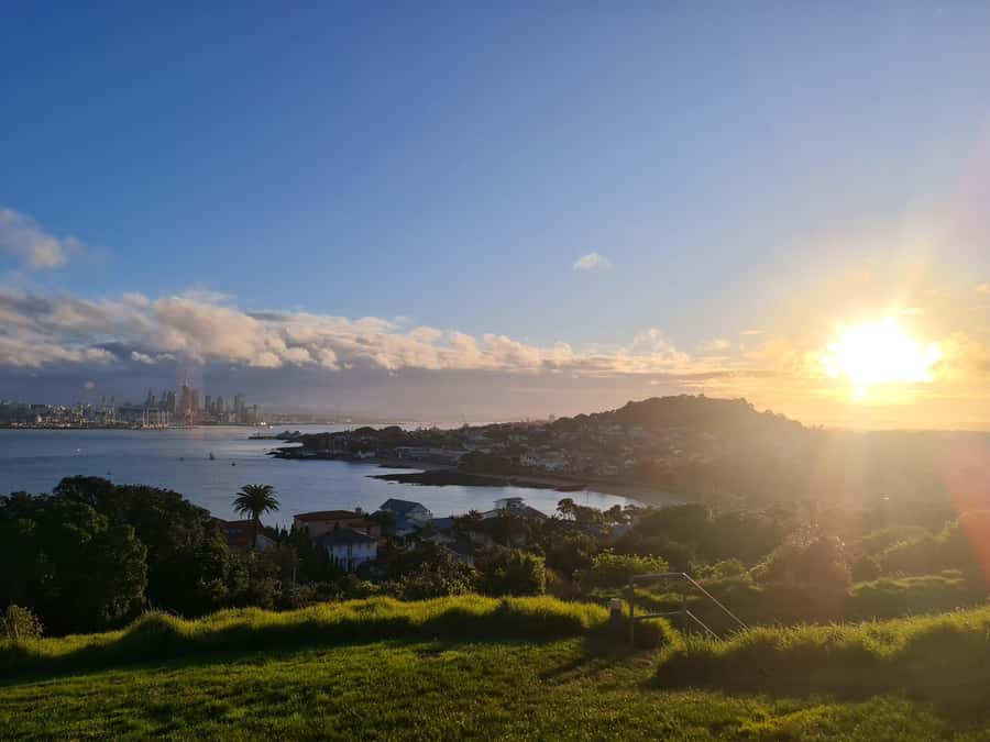 Auckland City Highlights Half Day Tour - Pickup and the ride: calm logistics, not a hassle