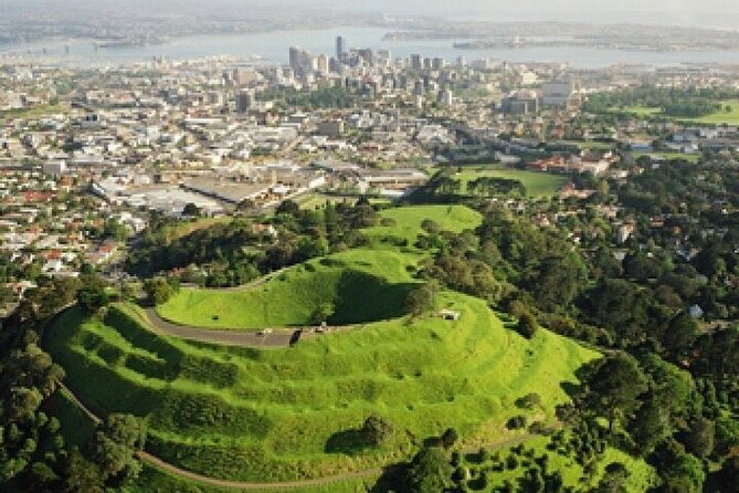 Auckland City Highlights Private Tour - Mount Victoria Reserve: the 360-degree payoff