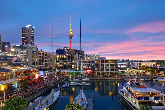 Auckland City Hotel to Cruise Ship Transfer by SUV - Drop-off at the cruise ship: luggage handled, location checked