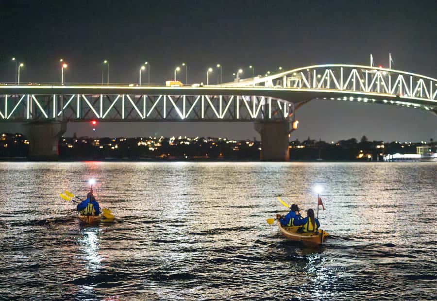 Auckland: City Lights Night Kayak Tour - Key things you’ll notice right away