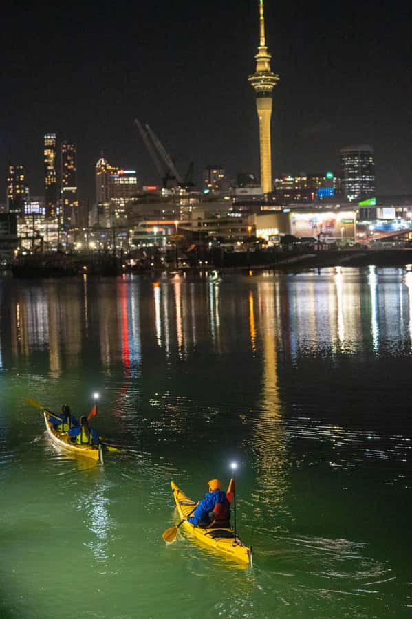 Auckland: City Lights Night Kayak Tour - From Z Pier to your first strokes in Auckland Harbour