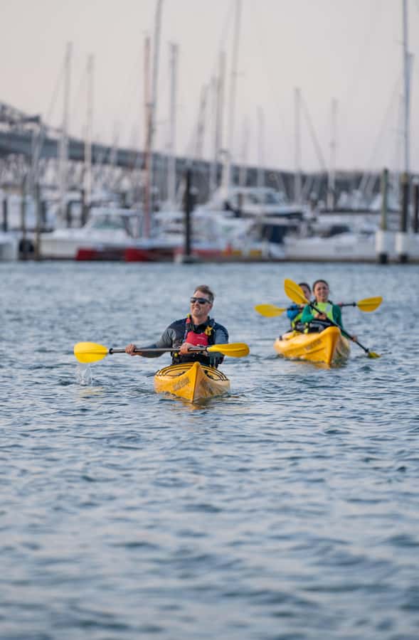 Auckland: City Lights Night Kayak Tour - Who this tour suits best
