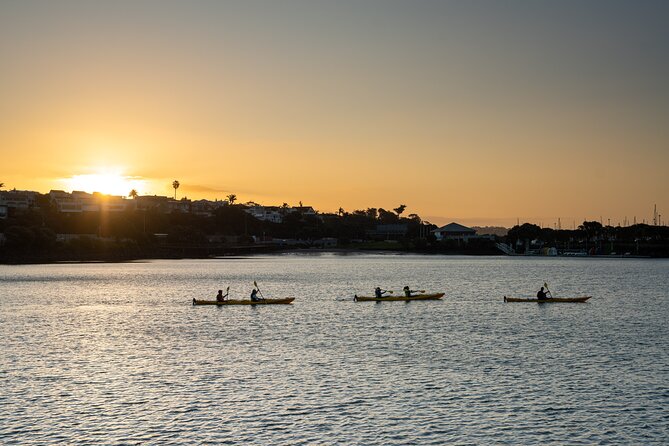 Auckland City Lights Night Kayaking Tour - Getting started at St Mary’s Bay (and why location matters)