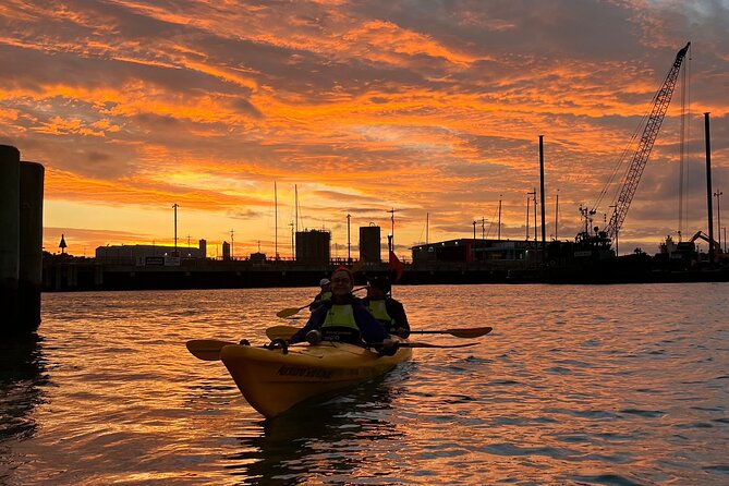 Auckland City Lights Night Kayaking Tour - Harbour Bridge at night: Vector Light magic from the water