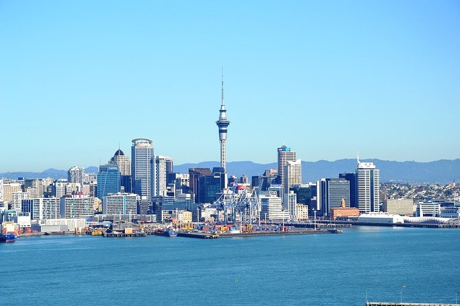 Auckland City & Native Forest Experience - Fully Guided Day Tour - Entering Auckland’s Must-See Zone Without Renting a Car