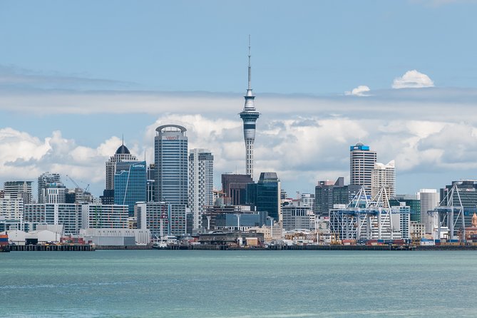 Auckland City & Native Forest Experience - Fully Guided Day Tour - Meeting at Movenpick, starting at 8:00, and why the morning timing helps