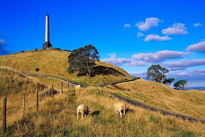 Auckland City Private Tour for Couples. Be chauffeur driven with added extras. - Price and what $747.79 per group really buys you