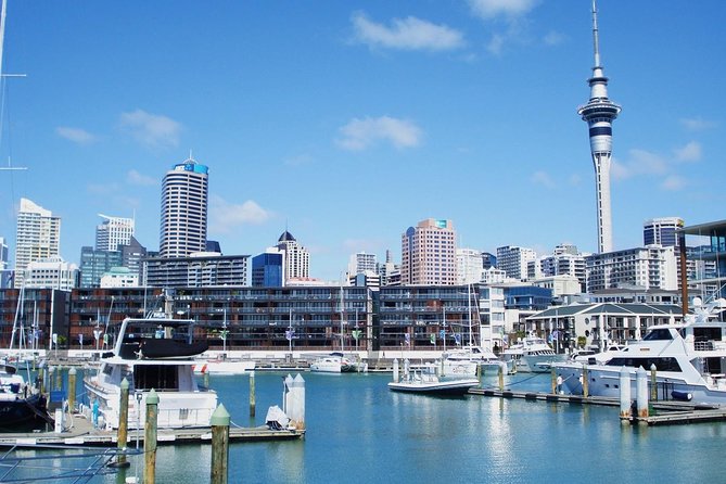 Auckland City Private Tour for Couples. Be chauffeur driven with added extras. - Mission Bay drive-through: beach break without the schedule pressure
