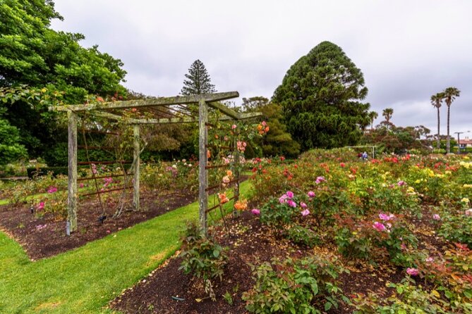Auckland City Self Guided Walking Tour with an APP - How the app and pacing work for real people