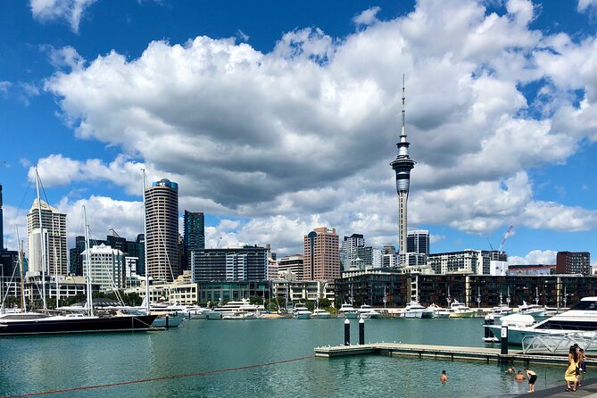 Auckland City Top Sights Half Day Tour - Small Group - Four Hours to Get Your Bearings in Auckland