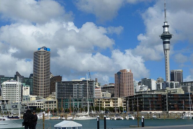 Auckland City Top Sights Half Day Tour - Small Group - Mount Eden (Maungawhau) for Panoramas Without the Hassle