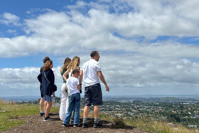 Auckland City Top Sights Half Day Tour - Small Group - Price and Value: What $99.29 Gets You