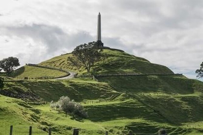 Auckland City Volcano & Scenic Highlights Tour - An electric-van Auckland tour that feels built for comfort