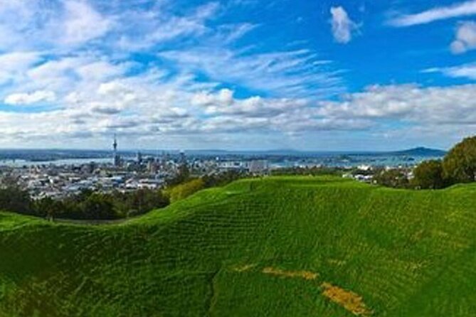 Auckland City Volcano & Scenic Highlights Tour - Price and what $130.32 really buys you