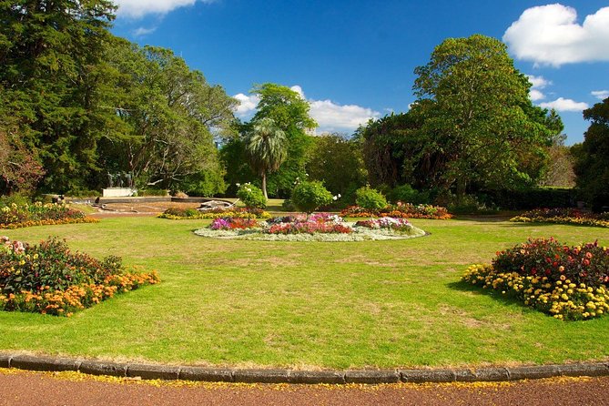 Auckland Coastal Experience - Small Group City & Beach Tour Incl. Wine Tasting - Starting Point and Morning Rhythm: 8:00 AM in Auckland CBD