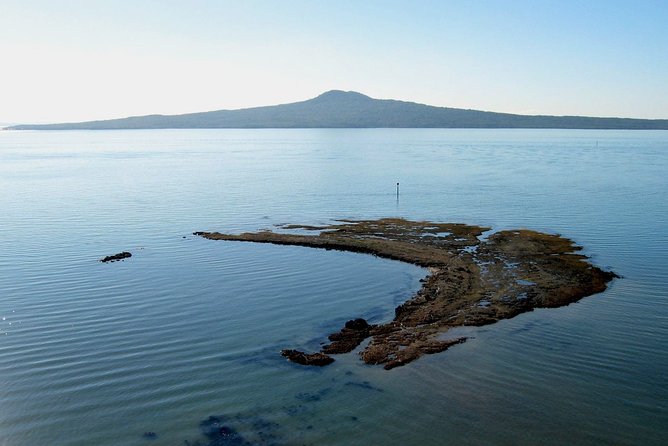 Auckland Coastal Experience - Small Group City & Beach Tour Incl. Wine Tasting - Auckland Harbour Bridge and Westhaven Marina: The “Get Your Bearings” Duo