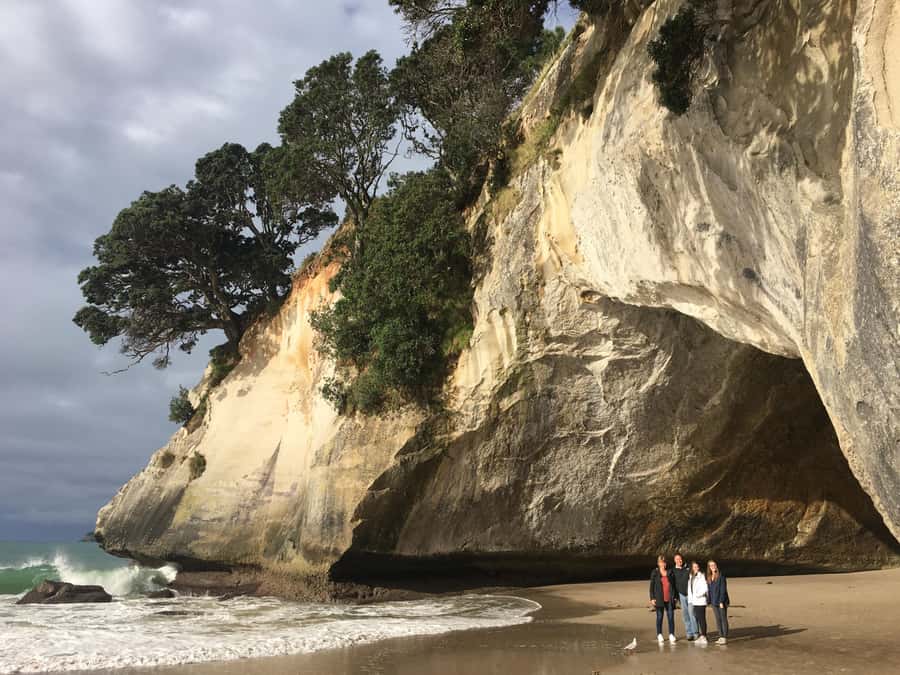 Auckland: Coromandel Day Tour including Hot Water Beach - Key things you’ll notice on this Coromandel day trip