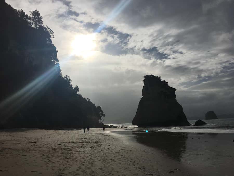 Auckland: Coromandel Day Tour including Hot Water Beach - Riding the Scenic Train: Driving Creek Railway and the Eyefull Tower view