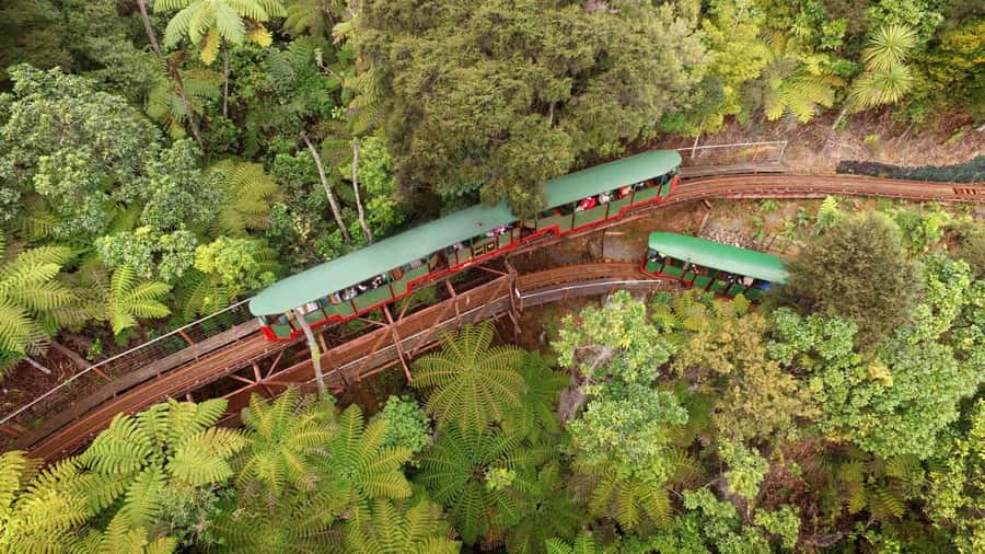 Auckland: Coromandel Driving Creek & Cathedral Cove Day Tour - Coromandel Highlights at a Glance