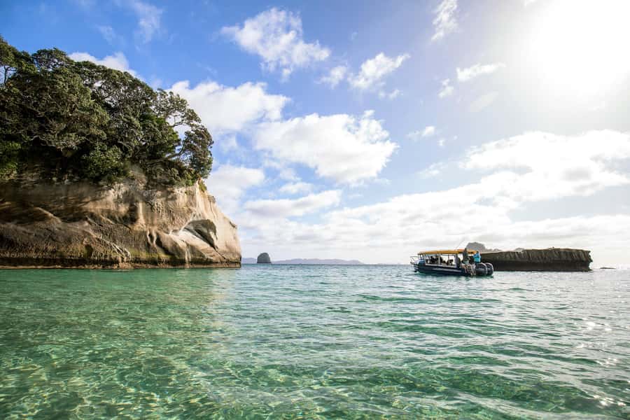 Auckland: Coromandel Driving Creek & Cathedral Cove Day Tour - Walking Reality Check: Footwear and Pace