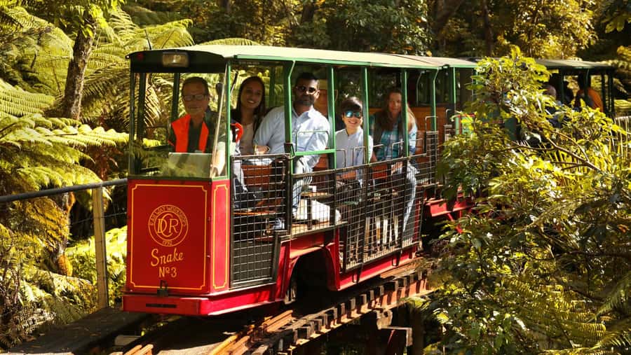 Auckland: Coromandel Driving Creek & Cathedral Cove Day Tour - From Auckland to Coromandel: Why This Day Starts So Early