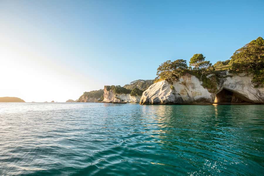 Auckland: Coromandel Driving Creek & Cathedral Cove Day Tour - Lost Spring Thermal Pools: A Relaxing Counterweight to the Walk