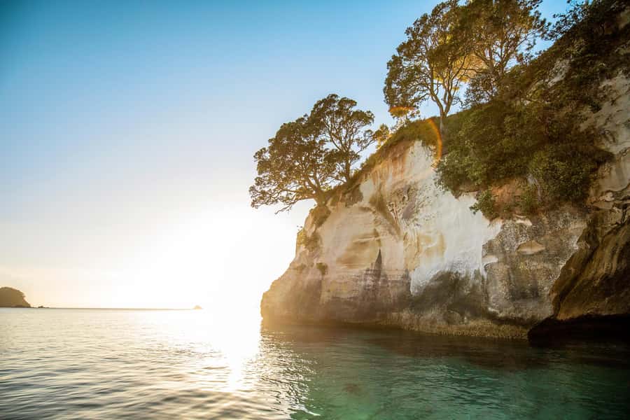 Auckland: Coromandel Driving Creek & Cathedral Cove Day Tour - Whitianga Break and Lunch Window: The Midday Reset