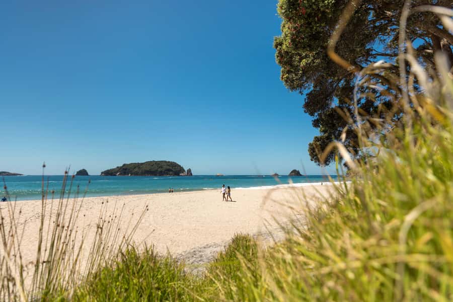 Auckland: Coromandel Driving Creek & Cathedral Cove Day Tour - Cathedral Cove Marine Reserve: How the Track Works