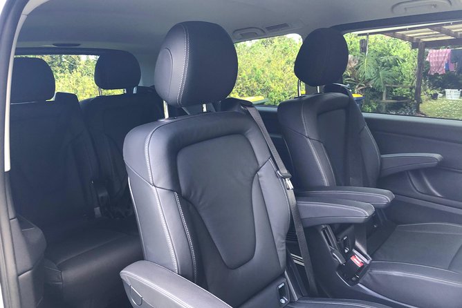 Auckland Cruise/Wharf & Airport Transfers - Chauffeur comfort: bottled water, phone charging, and a ride that holds luggage