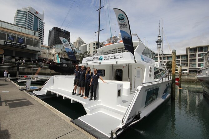 Auckland Dolphin and Whale Watching Eco-Safari Cruise - From Viaduct Harbour to the Hauraki Gulf: a smooth 4.5-hour run