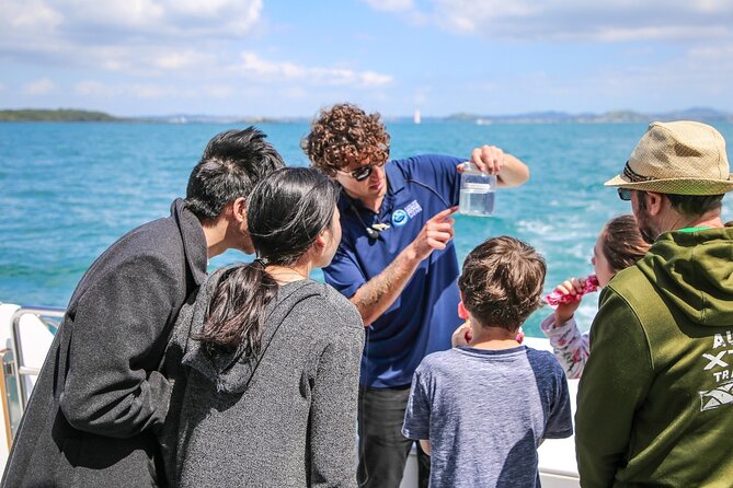 Auckland Dolphin and Whale Watching Eco-Safari Cruise - Deck choice, photo strategy, and handling a full boat day