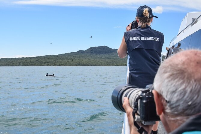 Auckland Dolphin and Whale Watching Eco-Safari Cruise - Weather, motion, and what to pack for a comfortable cruise