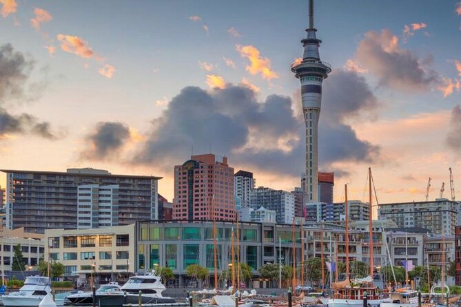 Auckland Downtown Hotel Transfers to/from Cruise Ship in Minivan - Timing and communication: why cruise transfers should feel boring