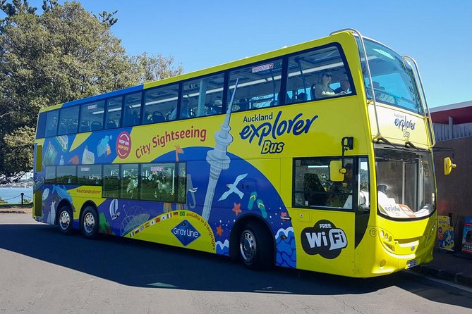 Auckland Explorer: Sightseeing Hop-on Hop-off Tour - The routes in plain English: where the bus starts and how it connects