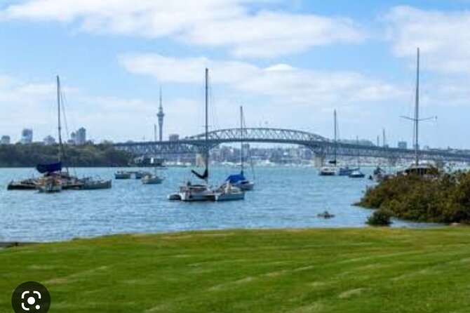 Auckland Full Day Attractions & Museums Tour - Achilles Point lookout: Hauraki Gulf views at the city’s edge