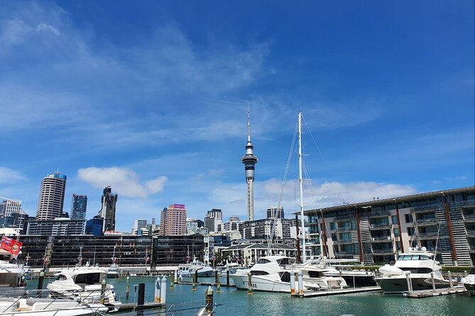 Auckland Full Day Attractions & Museums Tour - How the tour runs on the ground: pace, vehicle comfort, and group size