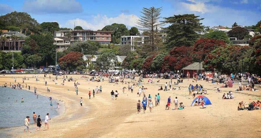 Auckland: Full-Day City Tour - Mt Eden: the city-view opener that sets the tone