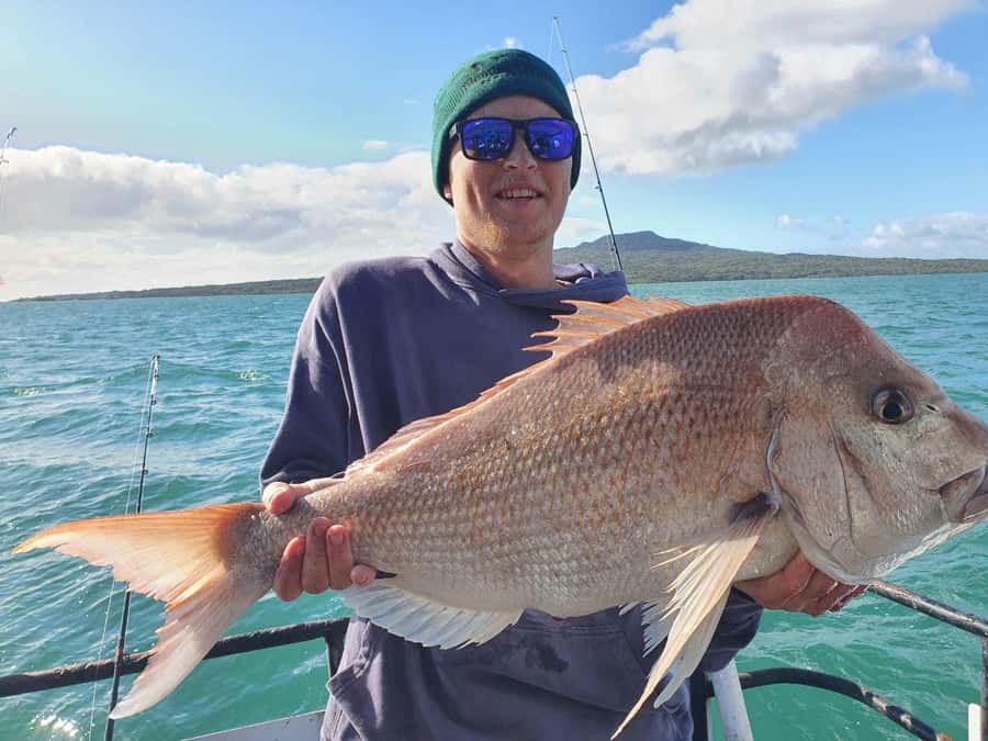 Auckland: Full-Day Fishing Charter (7 am - 4 pm) - Key things that make this charter worth your time