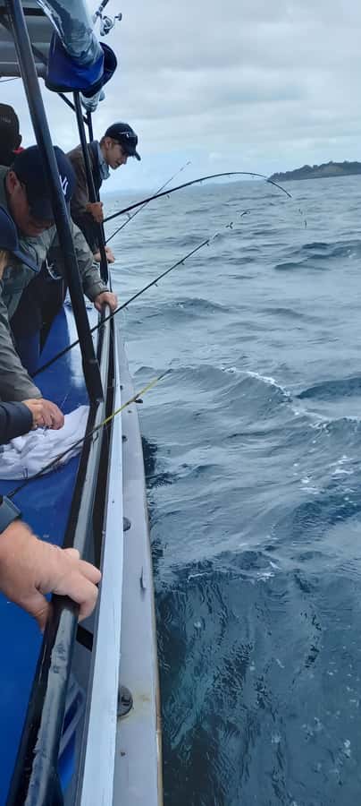 Auckland: Full-Day Fishing Charter (7 am - 4 pm) - Rods and bait: the one place costs can surprise you