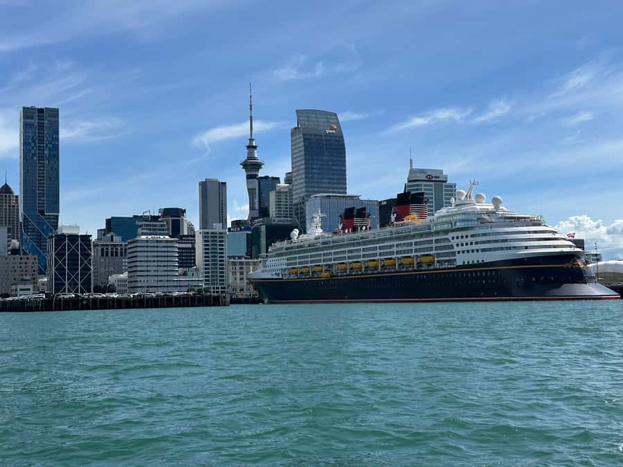 Auckland: GoGuided Auckland City Tour - Which car you’ll ride in: Tesla cool factor vs practical comfort