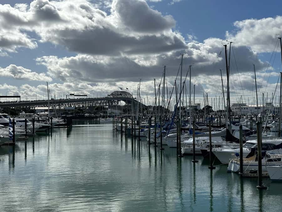 Auckland: GoGuided Auckland City Tour - Who should book this Auckland City Tour