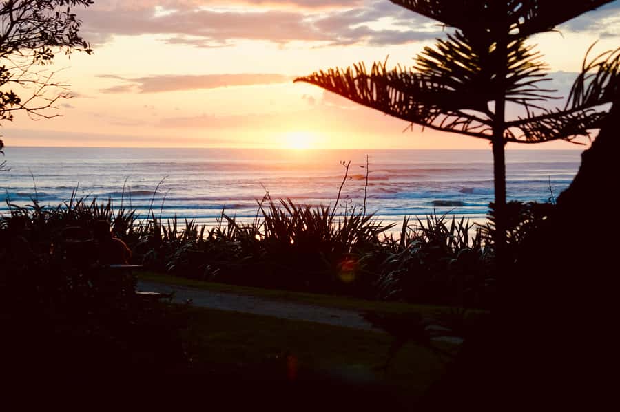 Auckland: Group Surfing Lesson with Muriwai Surf School - Value check: does $41 for 2 hours make sense?