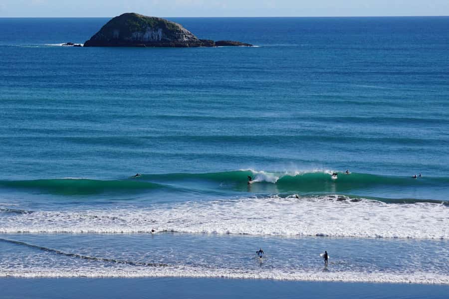 Auckland: Group Surfing Lesson with Muriwai Surf School - Who this lesson is best for (and who should skip it)