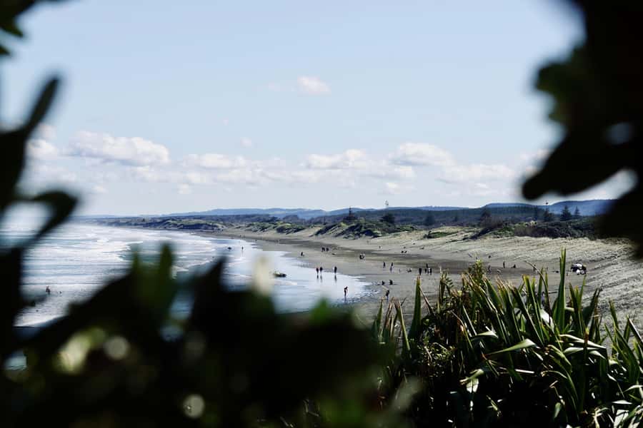 Auckland: Group Surfing Lesson with Muriwai Surf School - Should you book Muriwai Surf School’s Intro to Surfing?