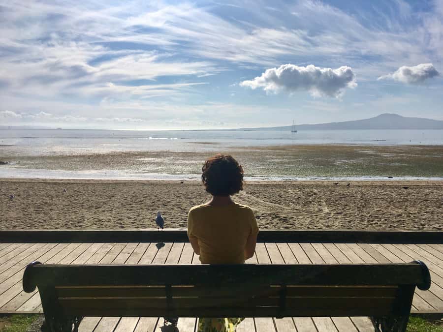 Auckland: Half-Day Auckland Volcanoes Tour - Auckland Volcanoes by the Numbers: What You’re Really Seeing