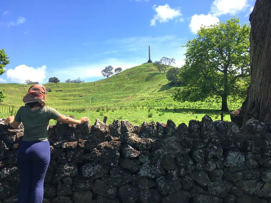 Auckland: Half-Day Auckland Volcanoes Tour - Mangere Domain: Break Time, Craters, and a Food-Market Detour