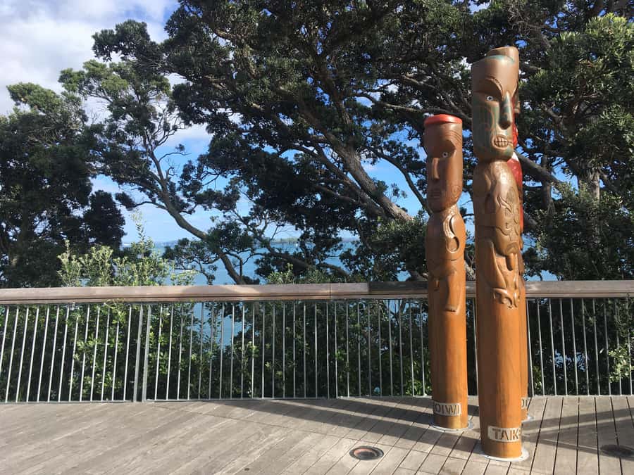 Auckland: Half-Day Auckland Volcanoes Tour - The 5-Hour Plan (and Why the Timing Works)