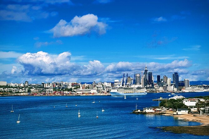 Auckland Half Day City Tour - Heart of Auckland - Key things that make this tour work so well