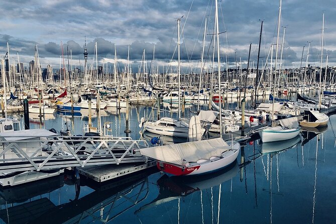 Auckland Half Day City Tour - Heart of Auckland - Pickup, timing, and how to get the most from a short window