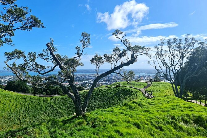 Auckland Half Day City Tour - Heart of Auckland - Mount Eden: the crater views and the fast route up to meaning